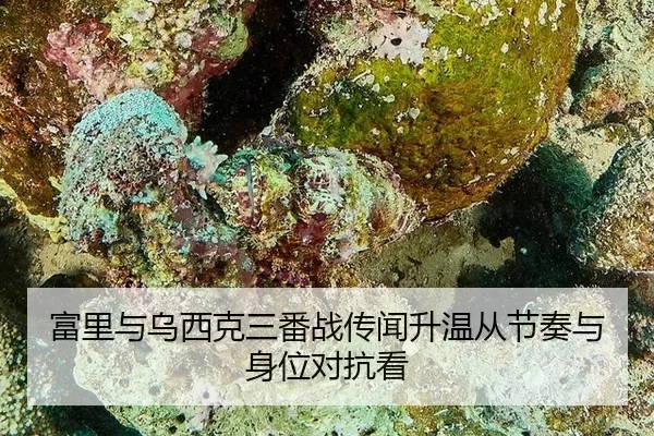 富里与乌西克三番战传闻升温从节奏与身位对抗看
